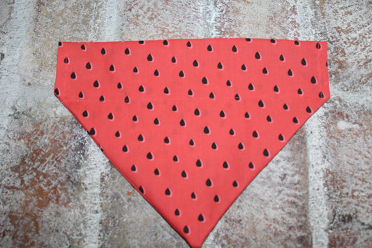 Watermelon Dog Bandana